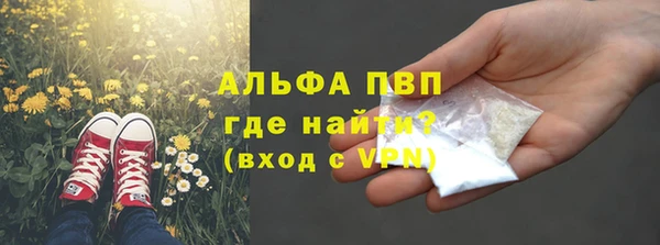гашик Аркадак