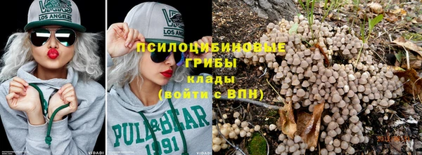 гашик Аркадак