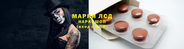гашик Аркадак