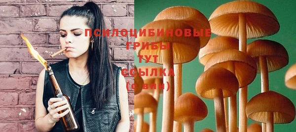 спайс Арсеньев