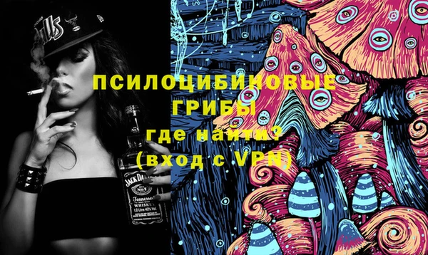 спайс Арсеньев