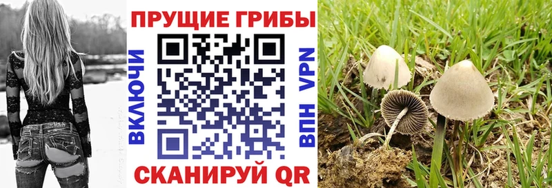ОМГ ОМГ маркетплейс  Верхняя Тура  Псилоцибиновые грибы ЛСД 